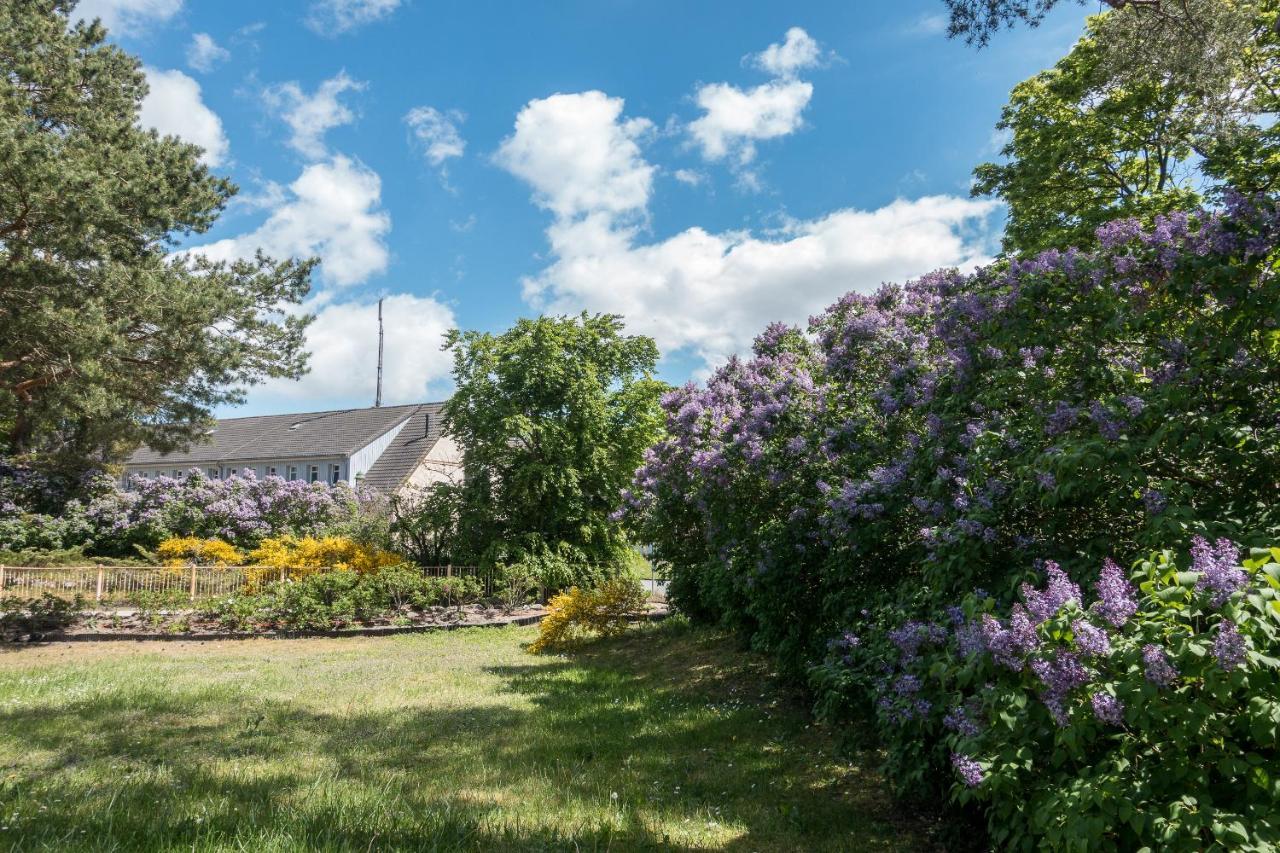 Vila Premiumhaus Bodden Und Mehr-Brise Born Exteriér fotografie